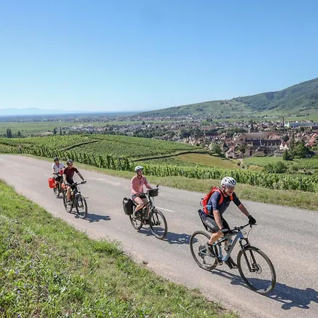 Ibis Budget Селеста