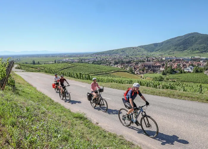 Ibis Budget 塞莱斯塔